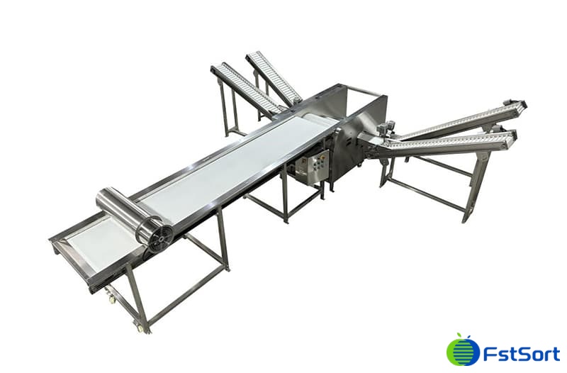 images/1707119879438Clasificadora de arándanos mexicanos.jpg